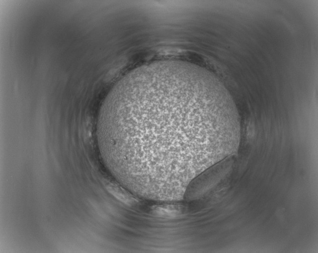 X0000078020567200611171916