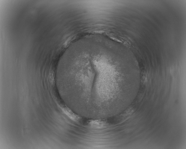 X0000078020568200611171916