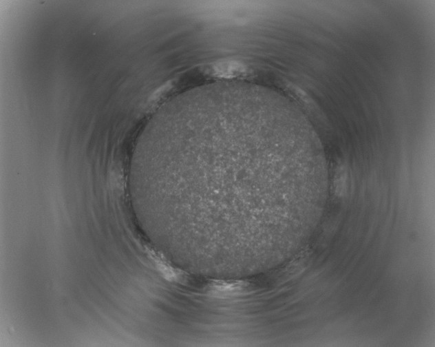 X0000078020569200611171916