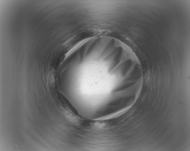 X0000078020570200611171916