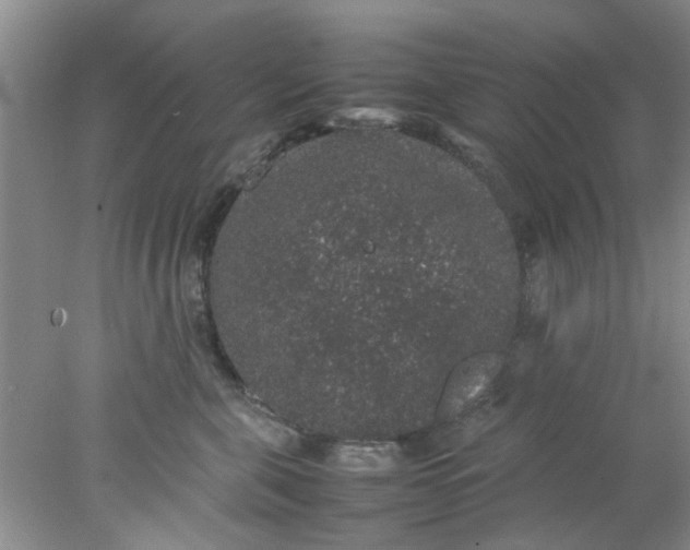 X0000078020571200611171916