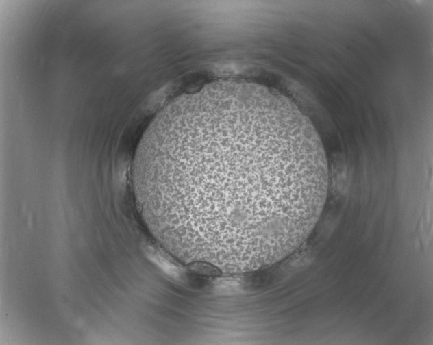 X0000078020574200611171916