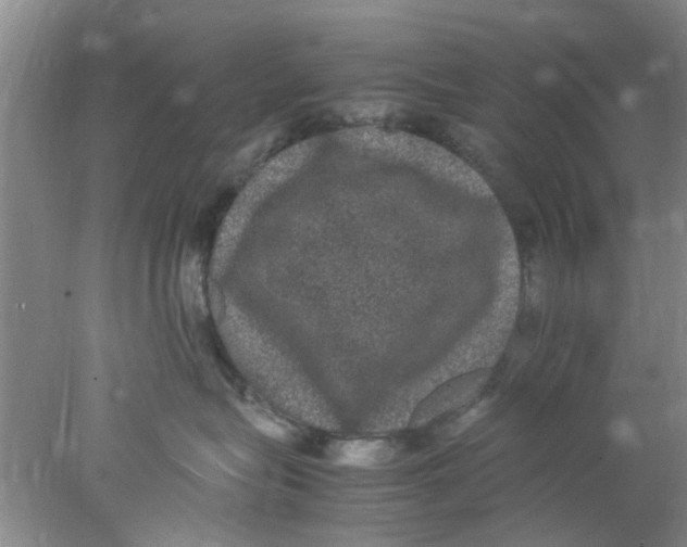 X0000078020575200611171916