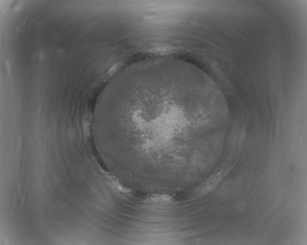 X0000078020576200611171916