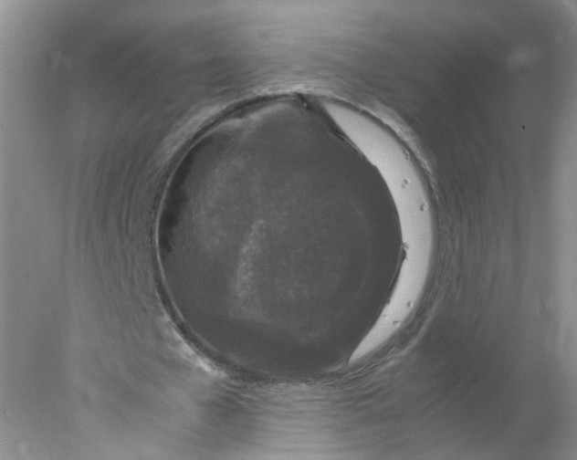 X0000078020577200611171915