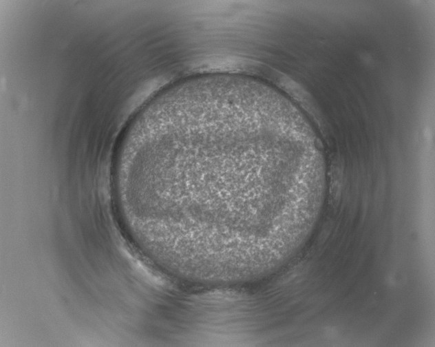 X0000078020578200611171915