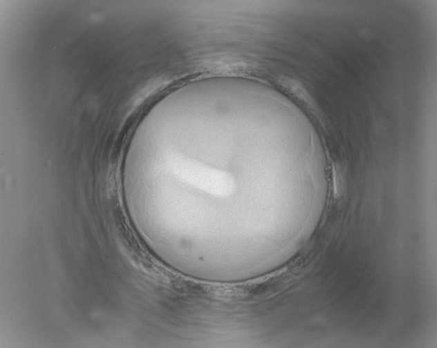 X0000078020579200611171915