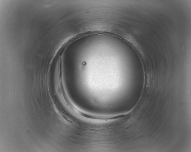 X0000078020580200611171915