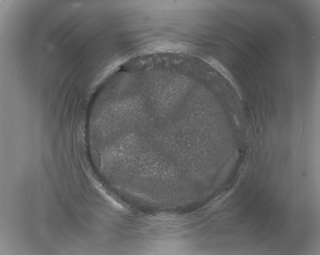 X0000078020581200611171915