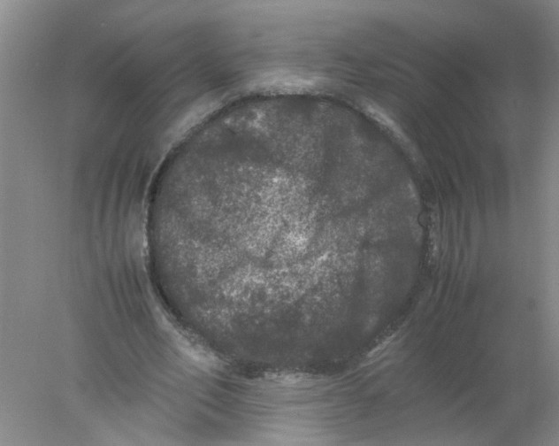 X0000078020582200611171915