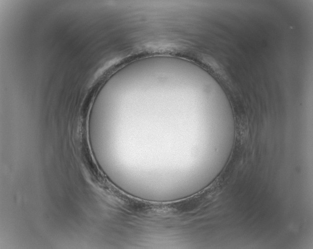 X0000078020583200611171915