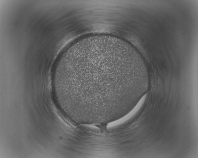 X0000078020584200611171915