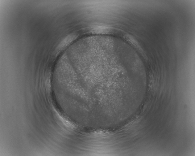 X0000078020586200611171915