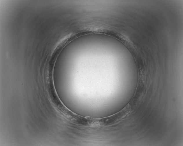 X0000078020587200611171915