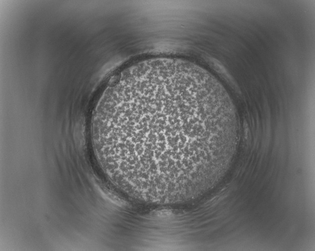 X0000078020588200611171915