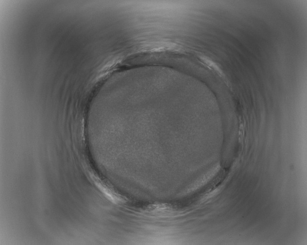 X0000078020589200611171915