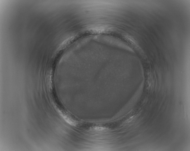 X0000078020590200611171915