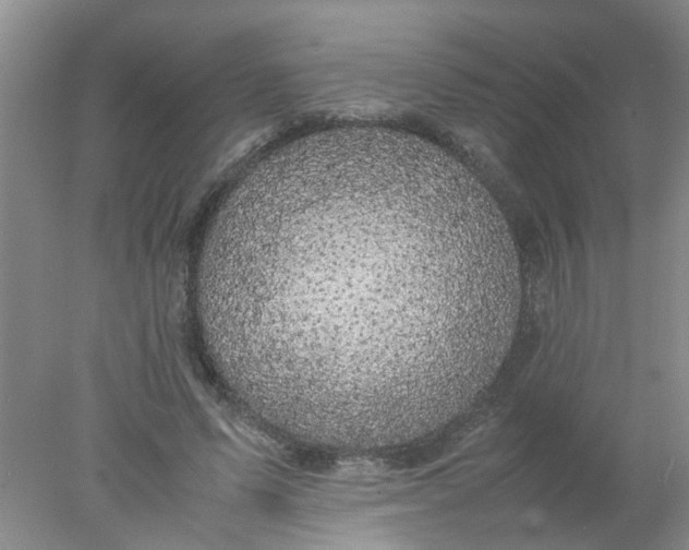 X0000078020591200611171915