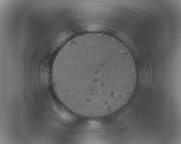 X0000078020592200611171915