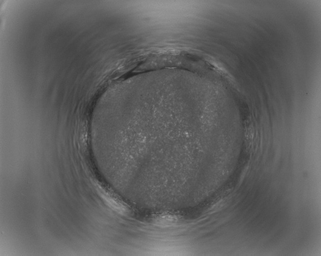 X0000078020593200611171915