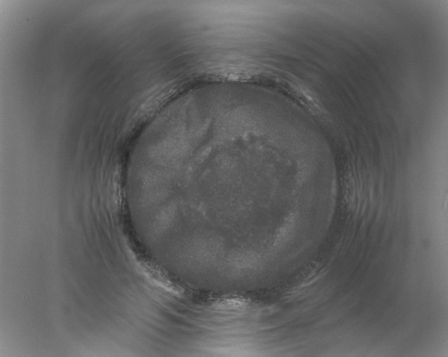 X0000078020594200611171915