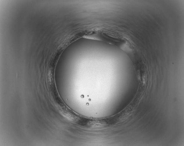 X0000078020597200611171915