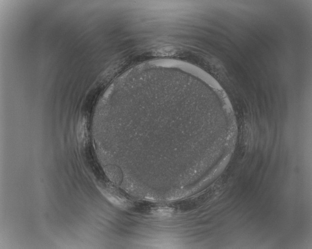 X0000078020598200611171915