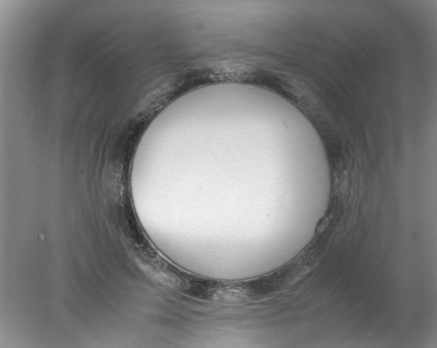 X0000078020599200611171915