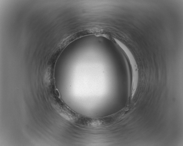 X0000078020600200611171915