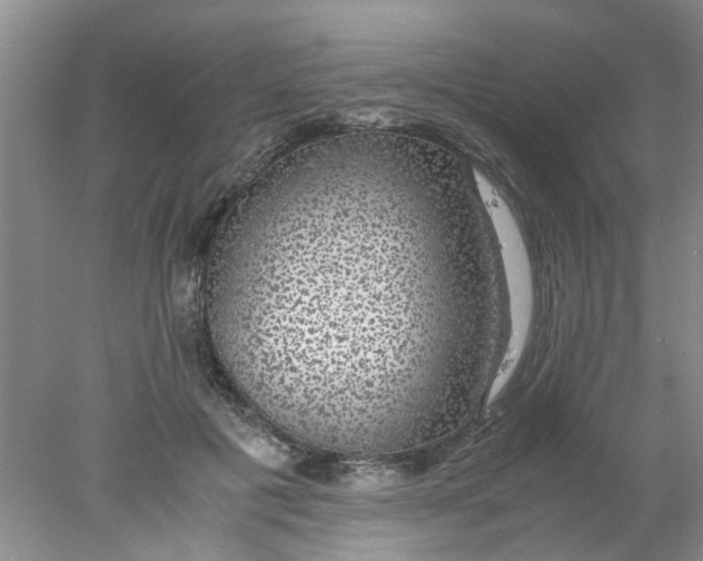 X0000078020601200611171915