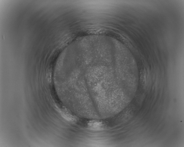 X0000078020602200611171915