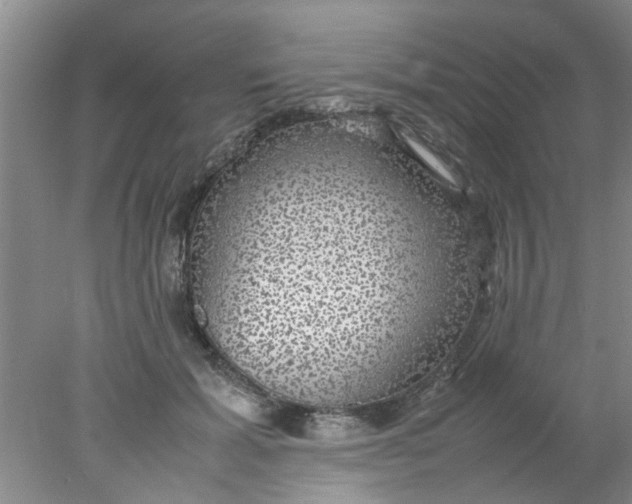 X0000078020605200611171915