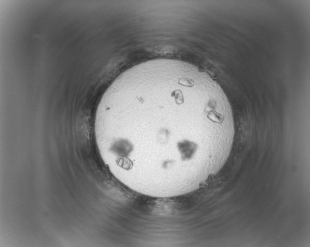 X0000078020612200611171915