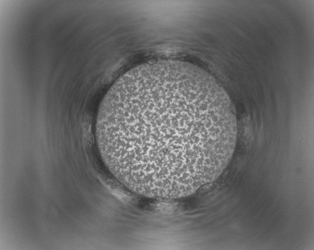 X0000078020615200611171914