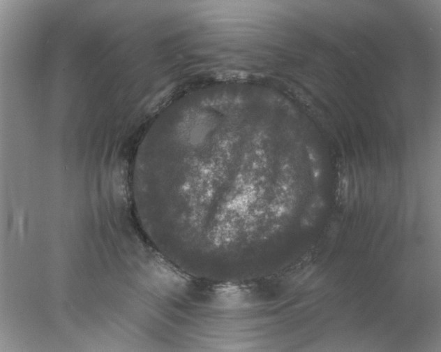 X0000078020616200611171914