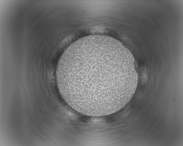 X0000078020619200611171914