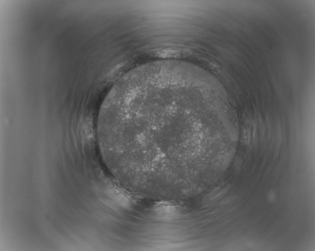 X0000078020620200611171914