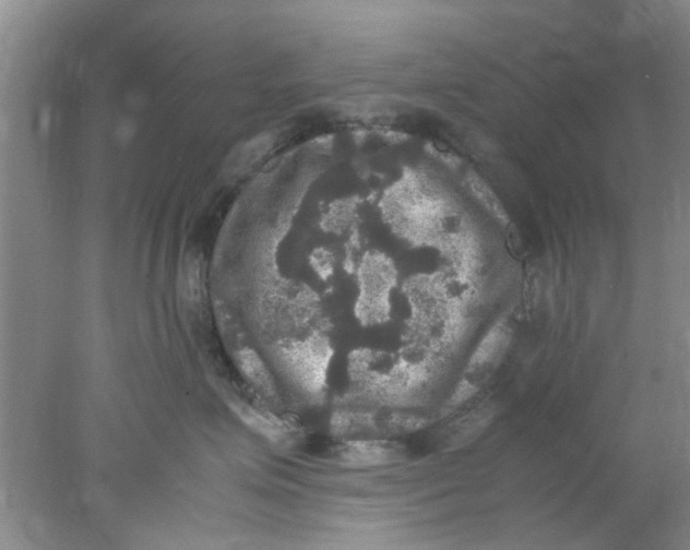 X0000078020623200611171914