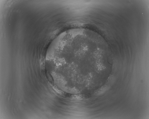 X0000078020624200611171914