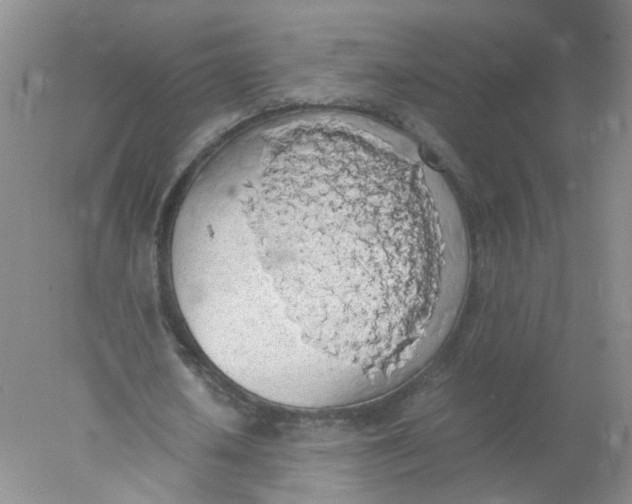 X0000078020626200611171914