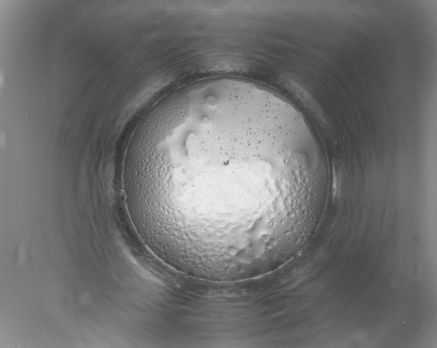 X0000078020627200611171914