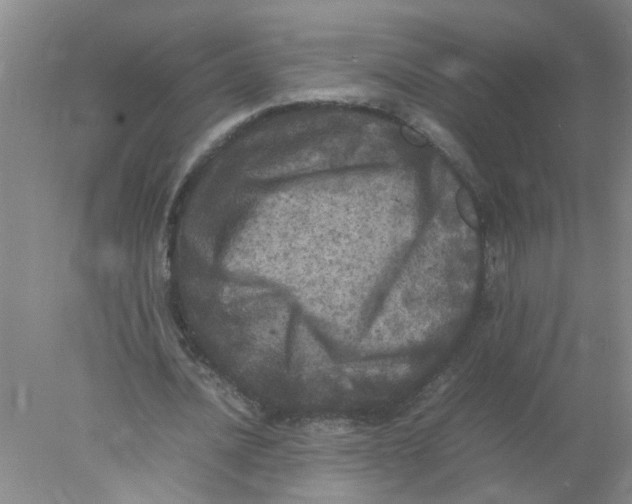 X0000078020628200611171914