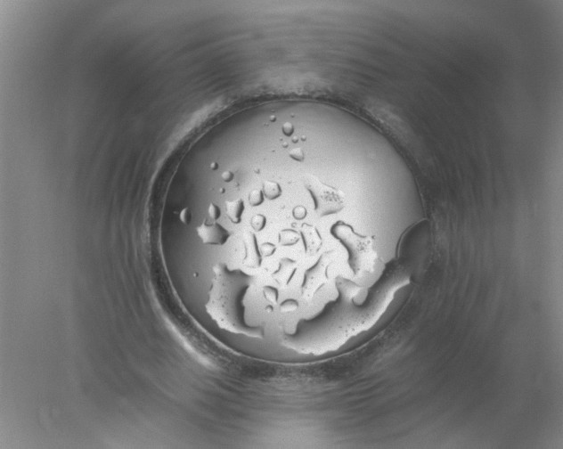 X0000078020630200611171914