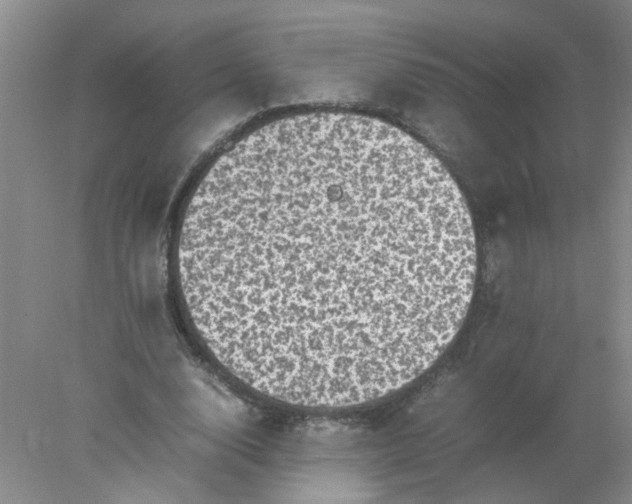 X0000078020632200611171914