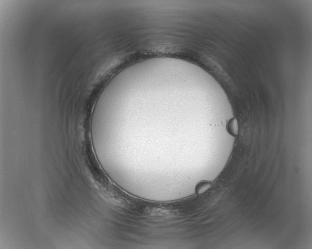 X0000078020635200611171914