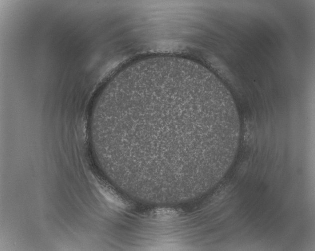 X0000078020636200611171914