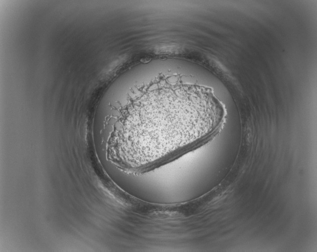 X0000078020637200611171914