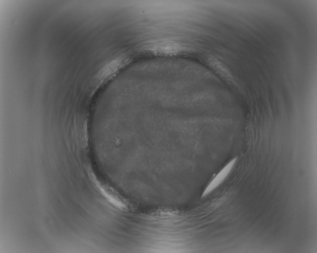 X0000078020638200611171914