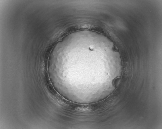 X0000078020639200611171914