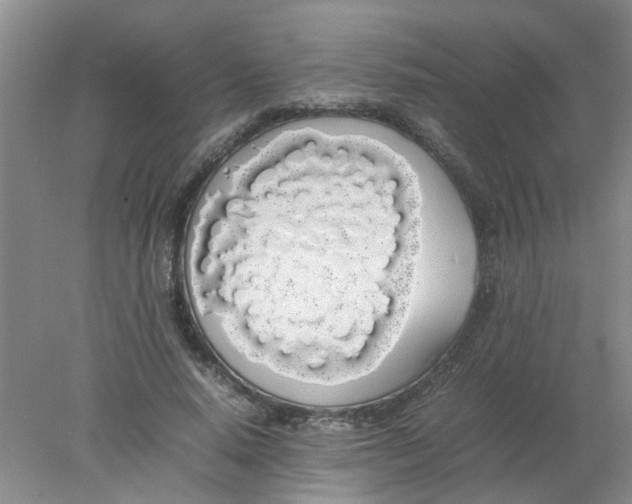 X0000078020640200611171914